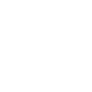 SAE Logo
